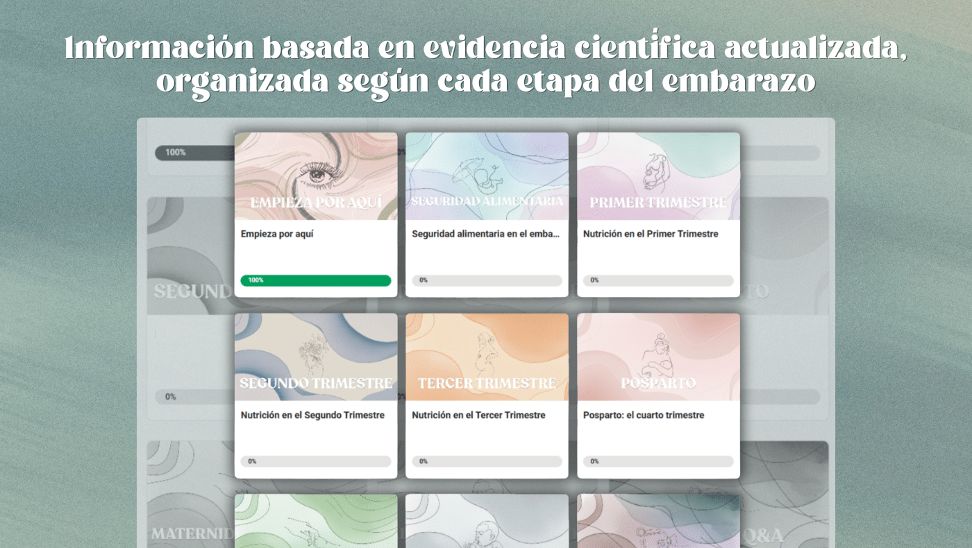 Lección de El Nido con vídeo explicativo y guía descargable